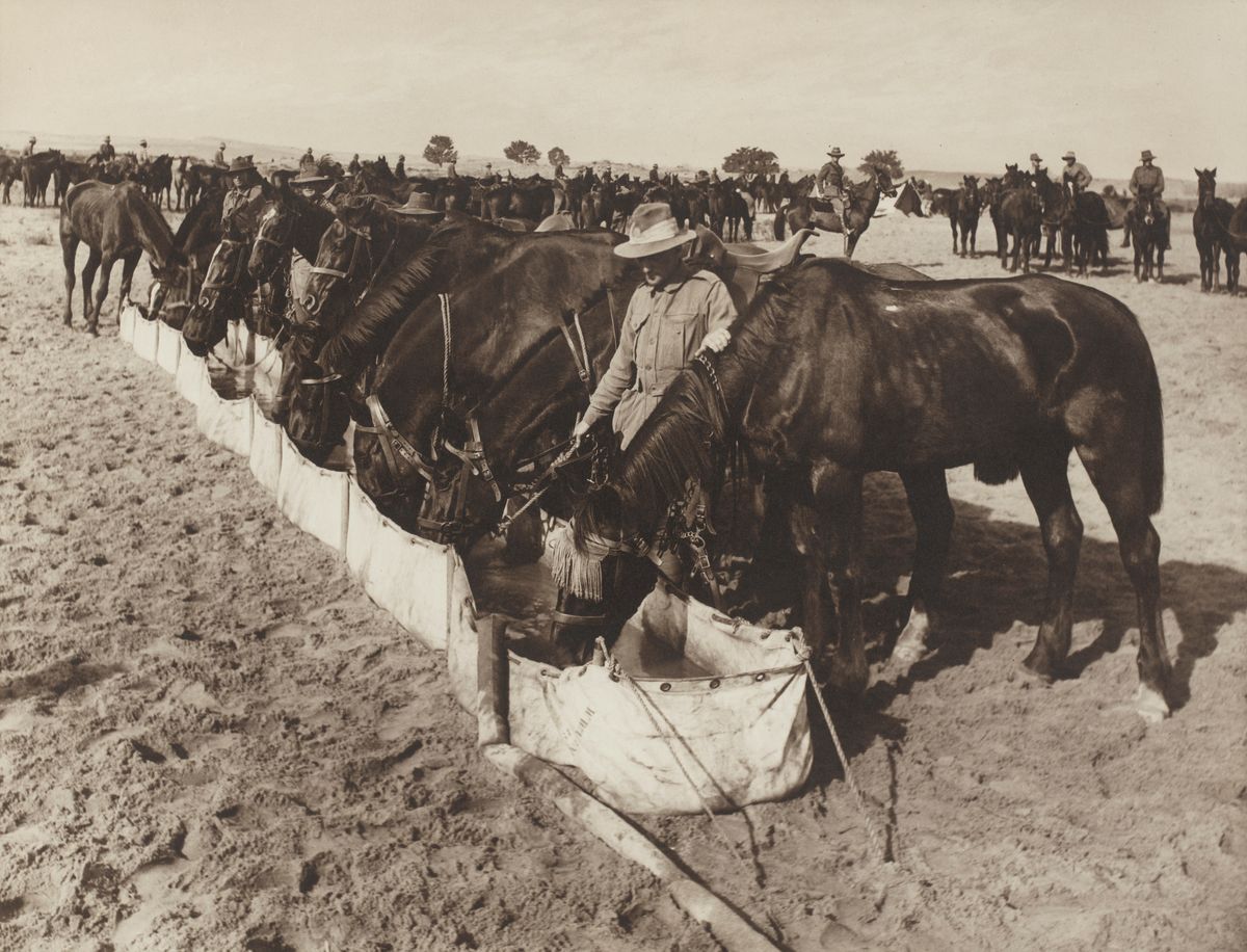 Providing water for men and horses in the desert was a real sappers' challenge (Frank Hurley — State Library of NSW)